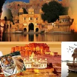 domestic-tour-package-services-1500013028-3139807_40_11zon_40_11zon